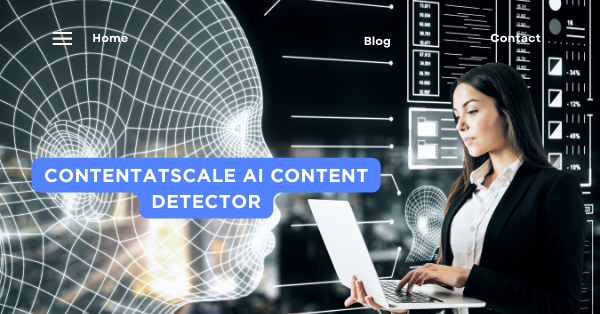 ContentatScale AI Content Detector